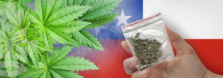 Cannabis-Vriendelijke Landen: Chili